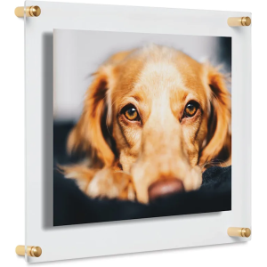 Cool Modern Frames