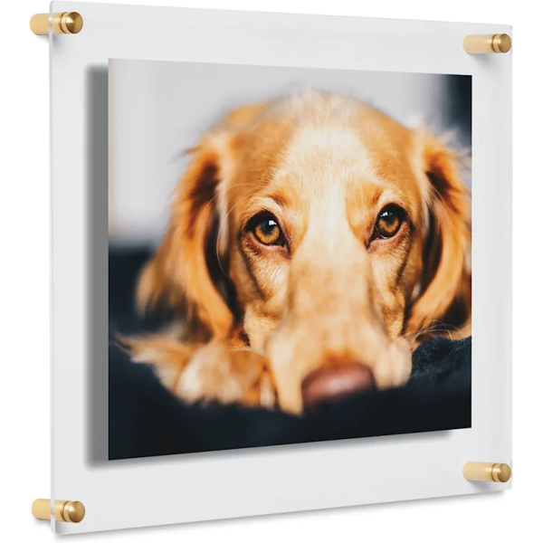 Cool Modern Frames